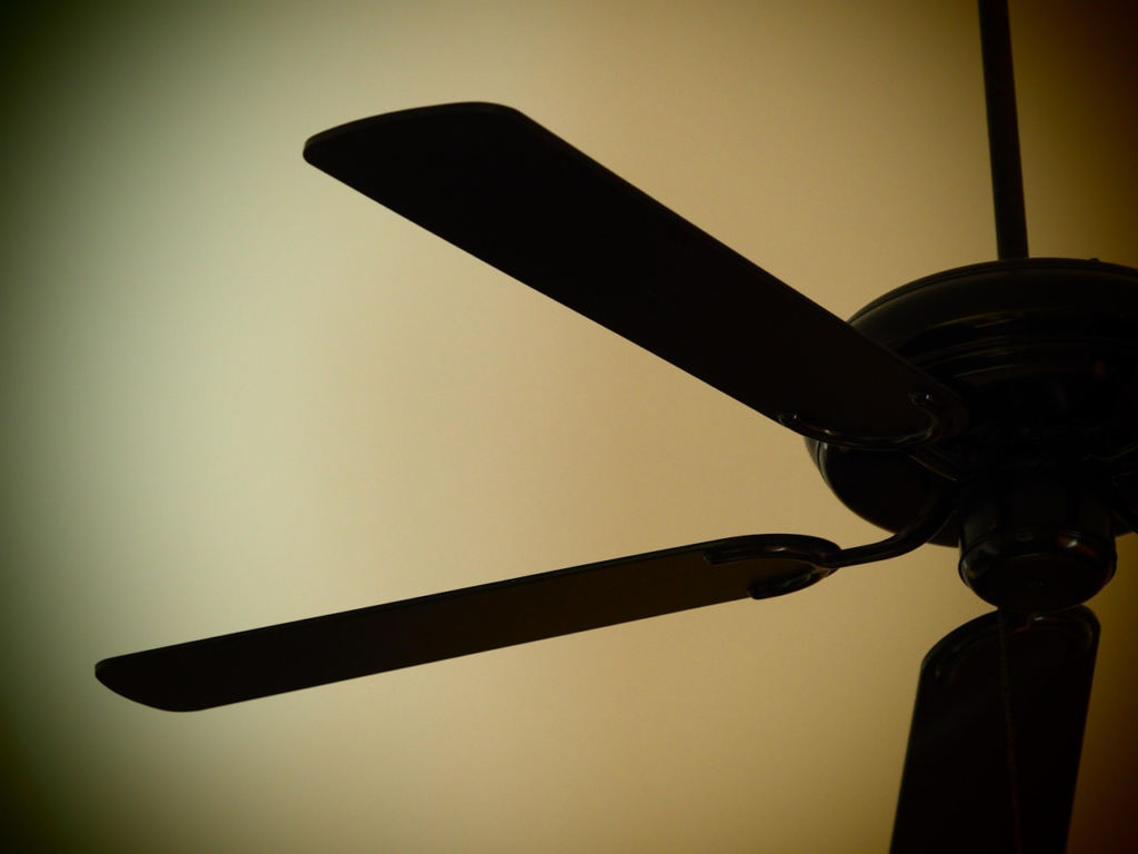 ceiling fan.webp