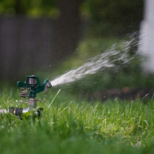 lawn care 2